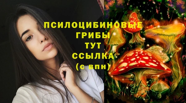 MDMA Кулебаки