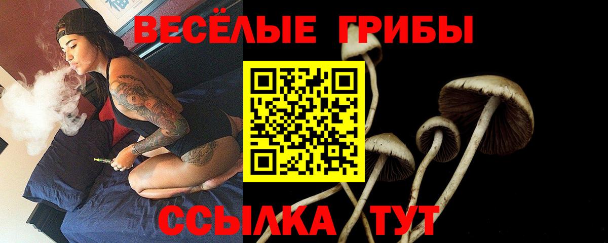 Галлюциногенные грибы Cubensis  Вход с VPN  Комсомольск-на-Амуре 